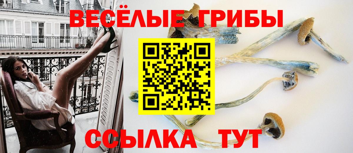 где купить наркоту  Псилоцибиновые грибы Cubensis  Вход с VPN  Кирово-Чепецк 