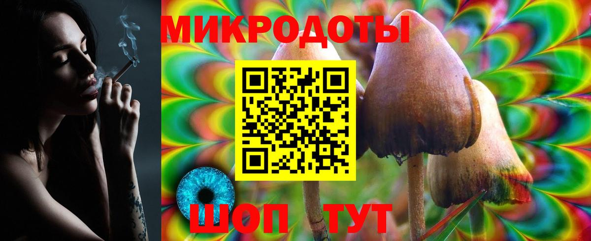 Псилоцибиновые грибы Psilocybine cubensis Кирово-Чепецк